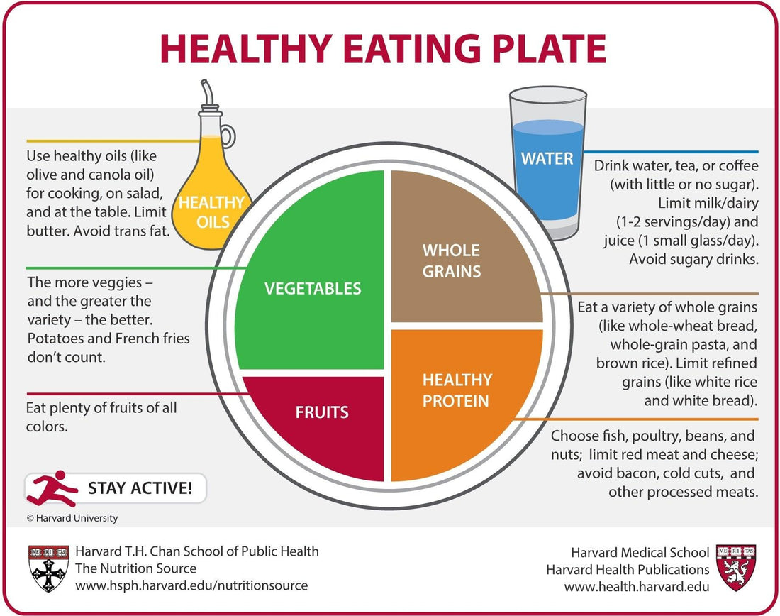 Healthy Eating Plate by Harvard Medical School - Jugglebox Australia